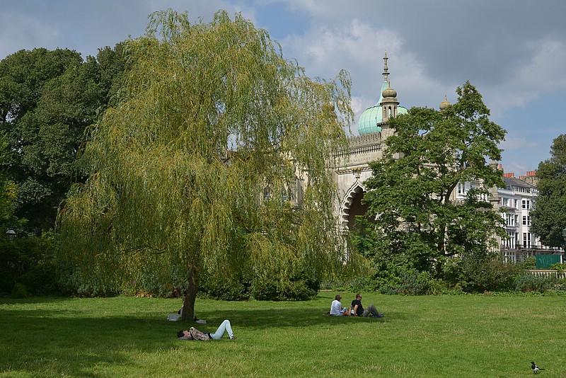 DSC_2603.JPG