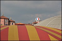 DSC_2474D.jpg