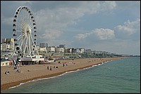 DSC_2518CE.jpg