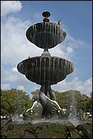 DSC_2566C.jpg