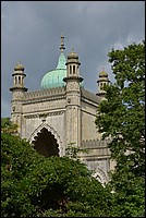 DSC_2606D.jpg