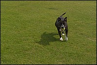 DSC_2630C.jpg