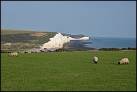DSC_2767C.jpg