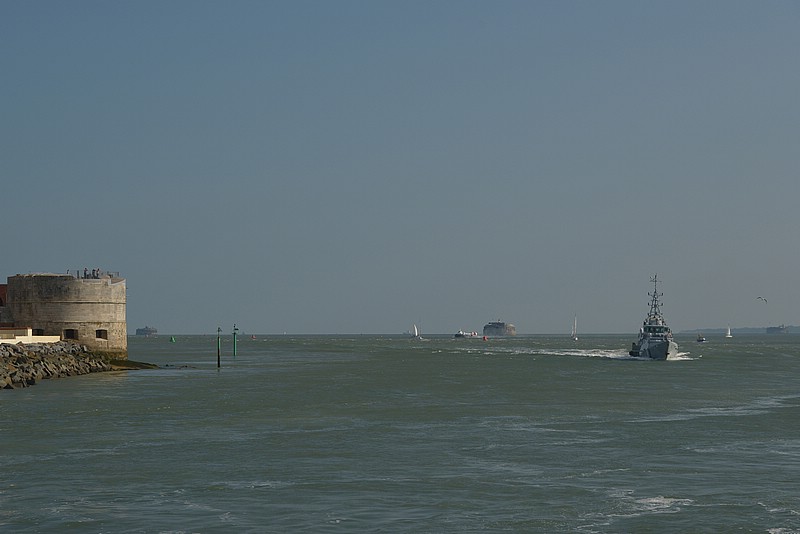DSC_3365CD.jpg