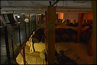 DSC_3210DG.jpg