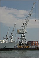 DSC_3298D.jpg