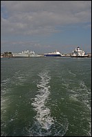 DSC_3319.JPG