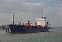 DSC_3346C.jpg