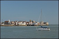 DSC_3358D.jpg