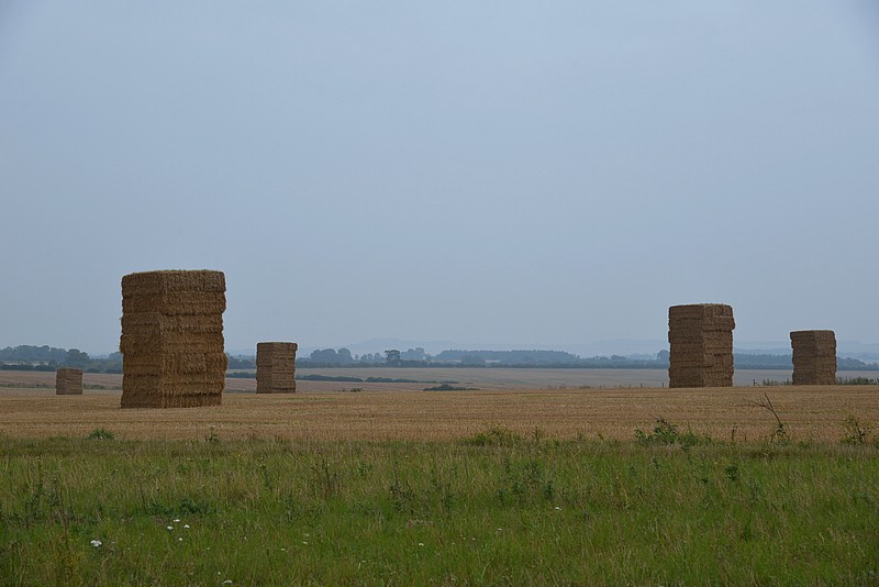 DSC_3537CoFK.jpg