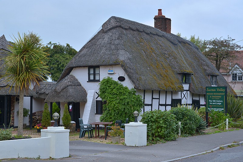 DSC_3770FECo.jpg