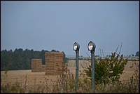DSC_3524CoDFK.jpg