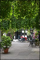 DSC_3541.JPG