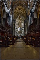 DSC_3656G.jpg