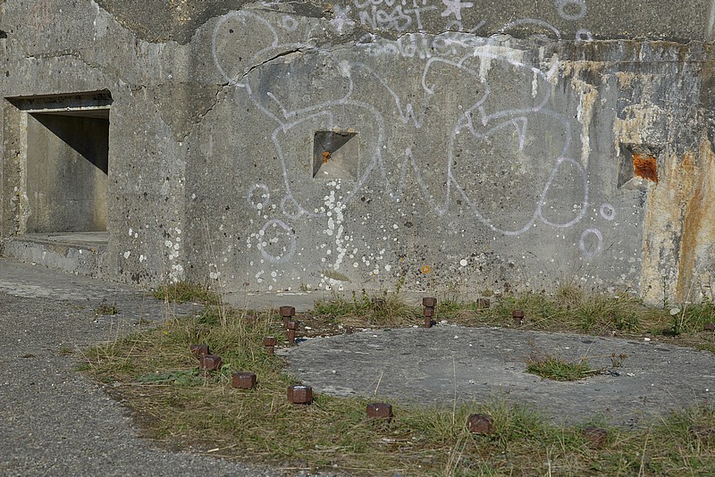 DSC_4265.JPG