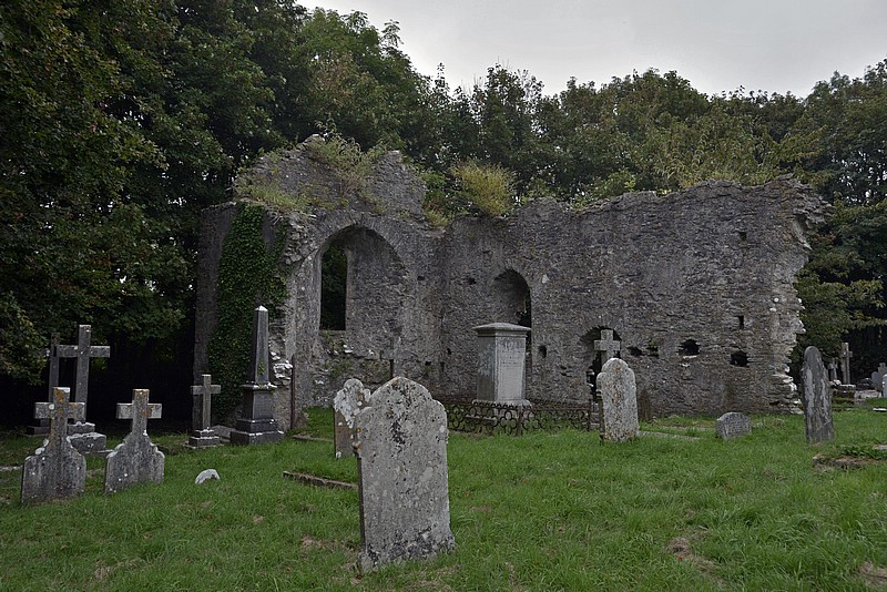 DSC_4393CoGK.jpg