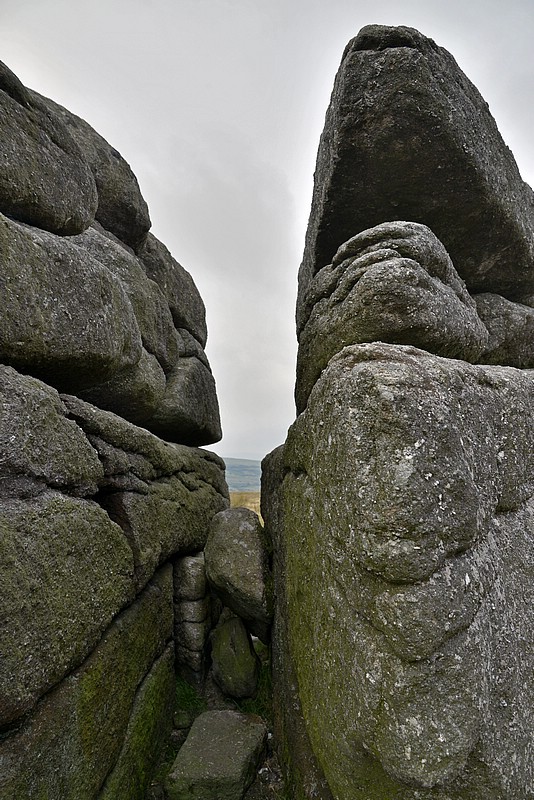 DSC_4440CoGK.jpg