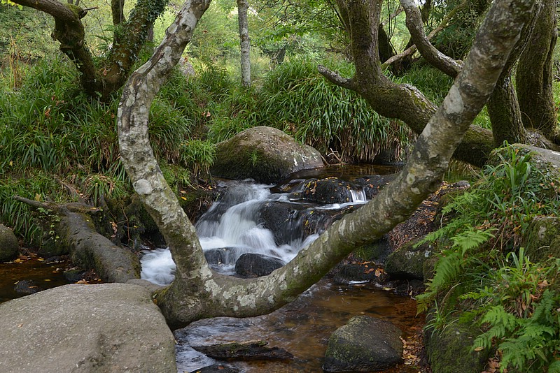 DSC_4470.JPG