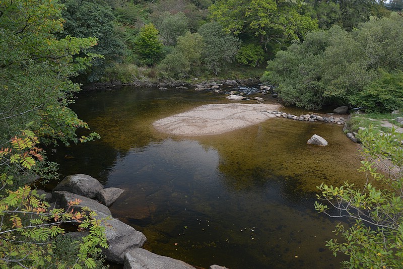 DSC_4481.JPG