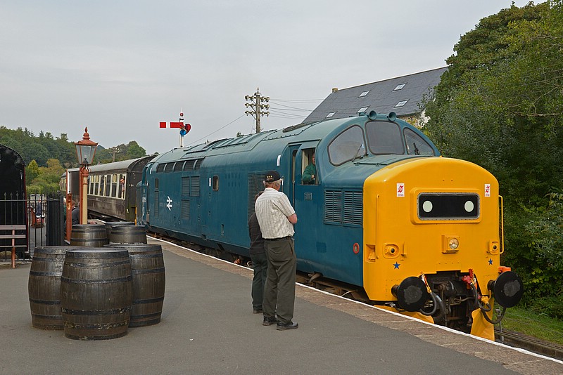 DSC_4593G.jpg