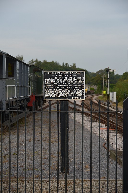 DSC_4624.JPG