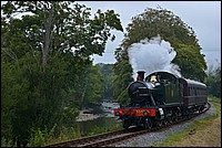 DSC_4366CFGK.jpg