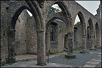 DSC_4383CoK.jpg