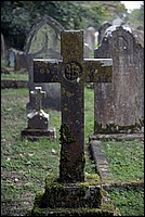 DSC_4408CoK.jpg