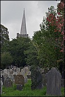 DSC_4427CoGK.jpg