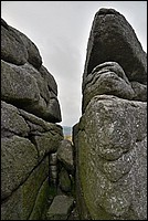 DSC_4440CoGK.jpg