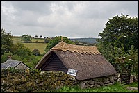 DSC_4464CoGK.jpg