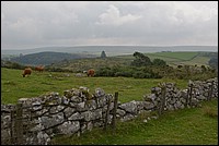 DSC_4486.JPG