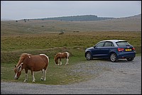 DSC_4499.JPG