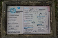 DSC_4510.JPG