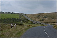 DSC_4523F.jpg