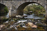 DSC_4554.JPG