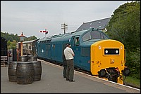 DSC_4593G.jpg
