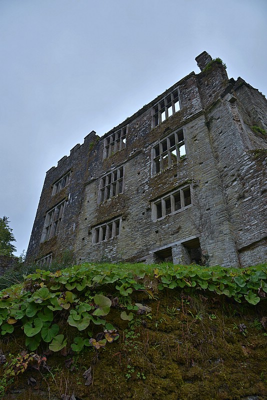DSC_4811FGK.jpg