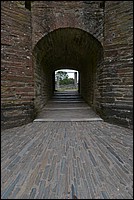 DSC_4779DK.jpg