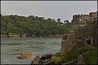 DSC_4885.JPG