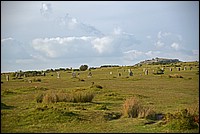 DSC_5011FK.jpg