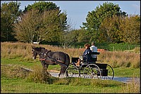 DSC_5037CDK.jpg