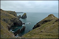 DSC_5094FK.jpg
