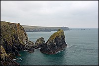 DSC_5124K.jpg