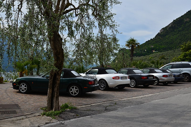 DSC_7545.JPG
