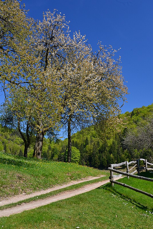 DSC_7639.JPG