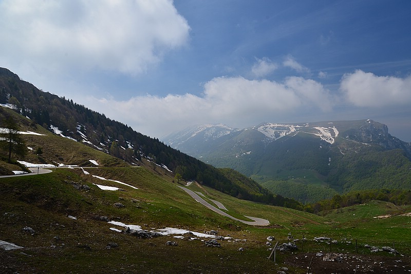 DSC_7772.JPG