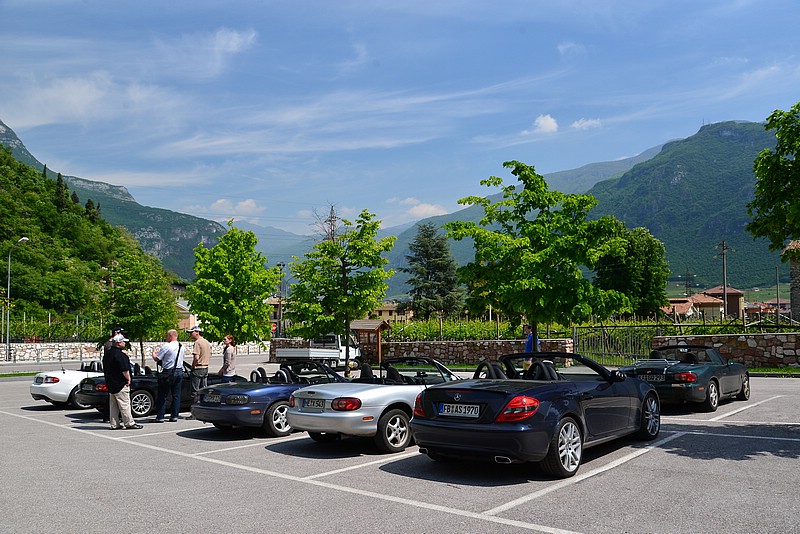 DSC_7787.JPG