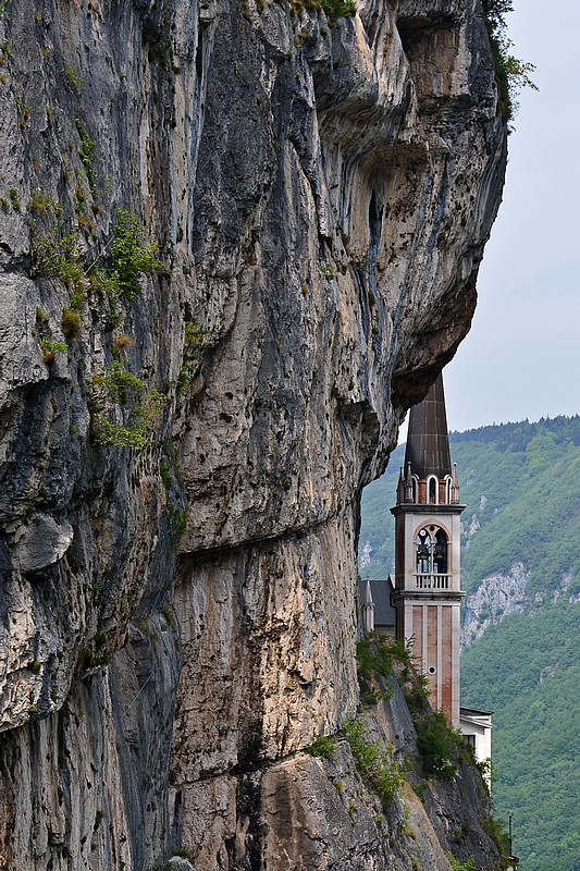 DSC_7819CG.jpg
