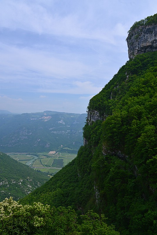 DSC_7846G.jpg